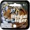 BENGAL TIGER - MEGA MARBLES - MEGA MARBLES 24+1 (2013-2018) (FACE)